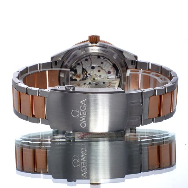 Omega Seamaster 300 233.20.41.21.01.001